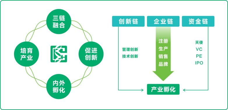 ng28式孵化